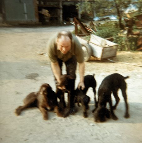 Hundebabys